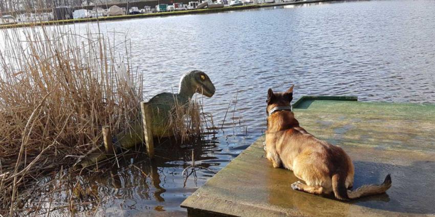 Vondst dinosaurus Almelo blijkt 'opgeblazen' verhaal