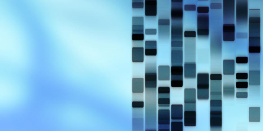 DNA-veranderingen verstoren team play in de cel