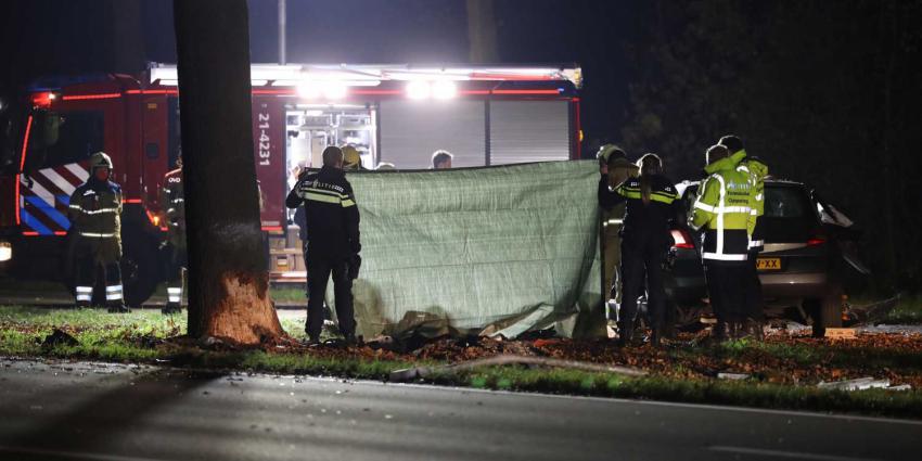 dode-aanrijding-boom