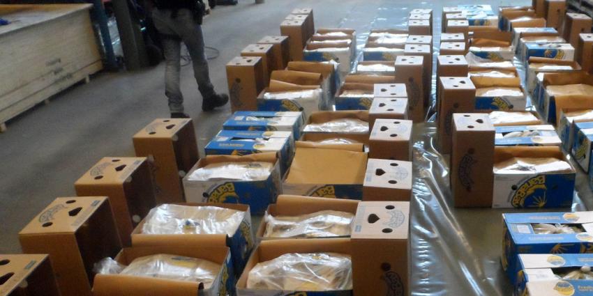 Drie aanhoudingen na vinden 900 kilo cocaïne tussen partij bananen