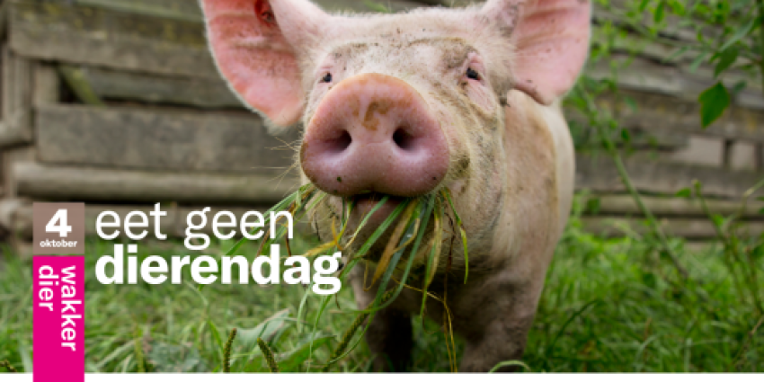 Eet geen dier dag