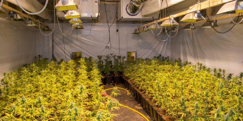 Kerkrade sluit sneller en langer wietfabrieken