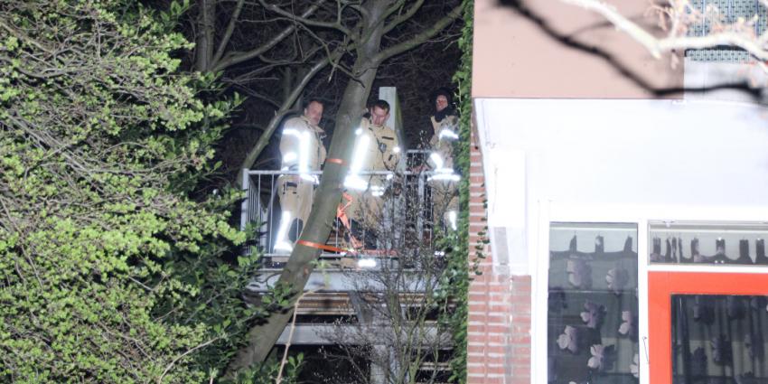 Boom valt tegen woning