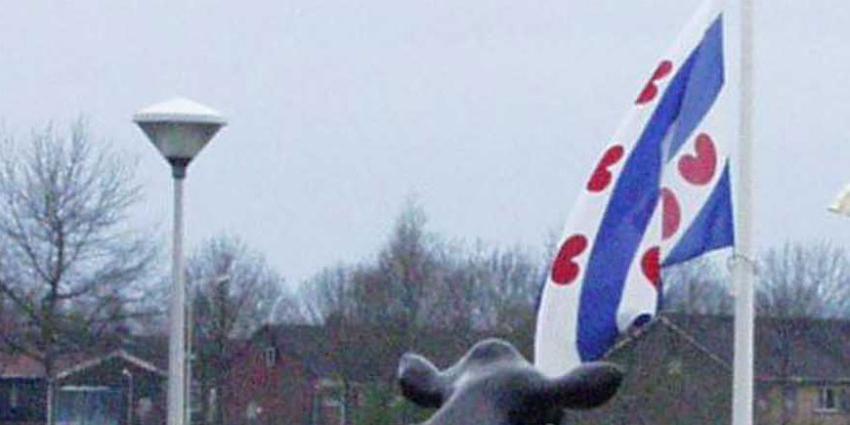 vlag friesland