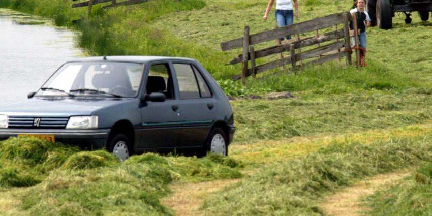 Rijden we binnenkort op gras?