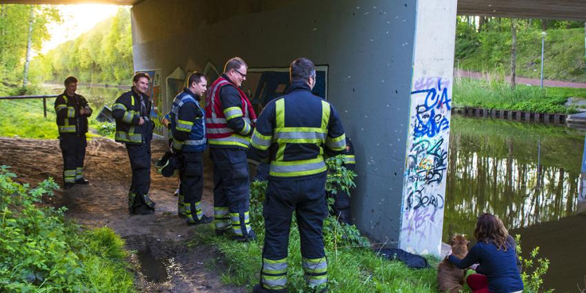 Hond door omstanders uit Wilhelminakanaal gered 