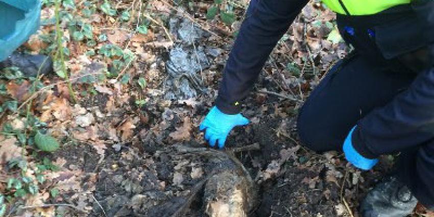 Politie graaft dode hond op na tip