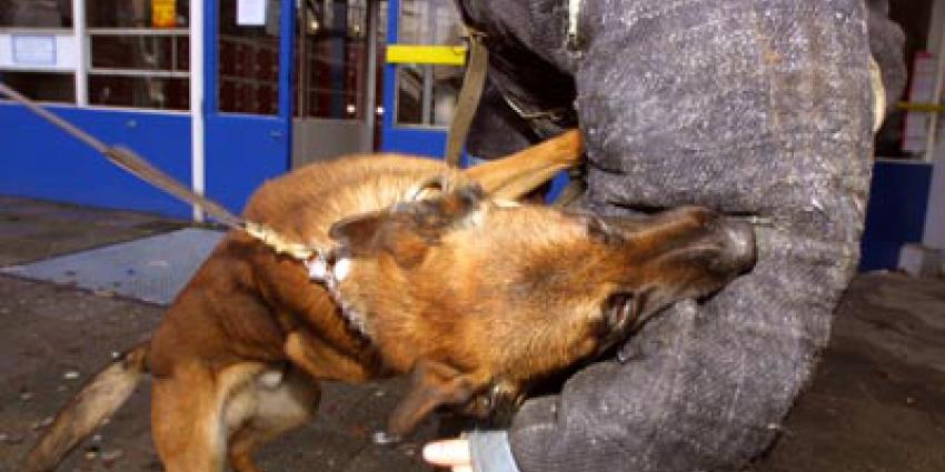 Hond verwond twaalf kinderen op schoolplein