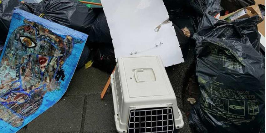 Katten gedumpt bij huisvuil in Amsterdam