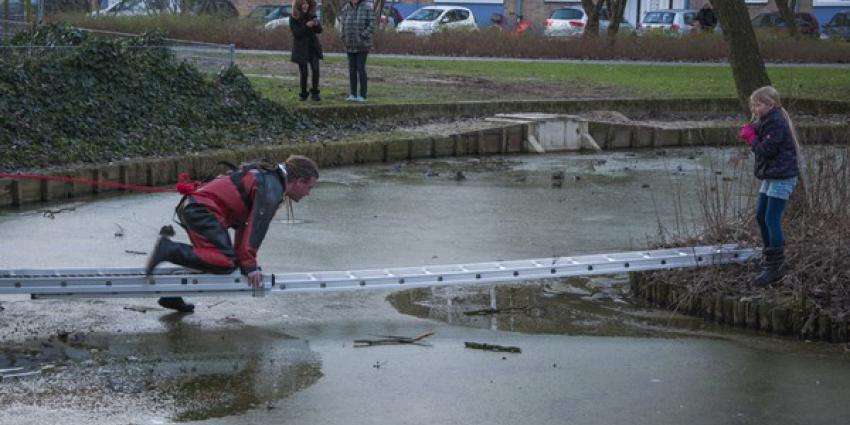 Brandweer redt meisje van eilandje