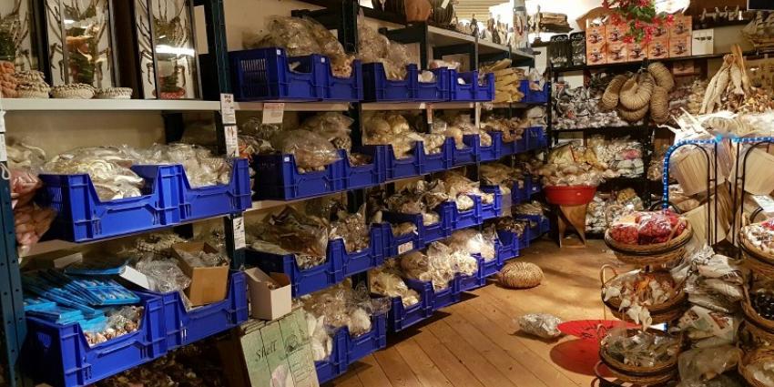 Recordvangst politie en douane in onderzoek naar wildlife crime