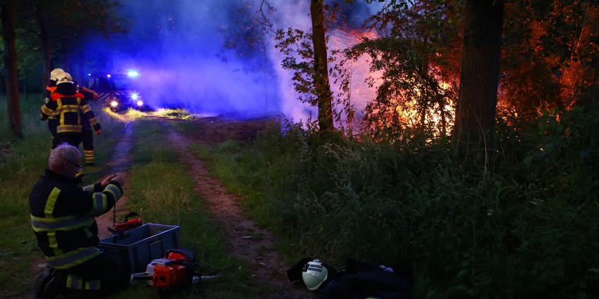 Metershoge vlammen in bosperceel tussen Liempde en Sint-Oedernode