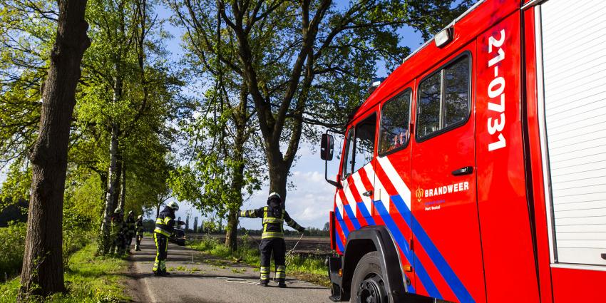 Afgebroken tak bungelt gevaarlijk boven de weg in Boxtel