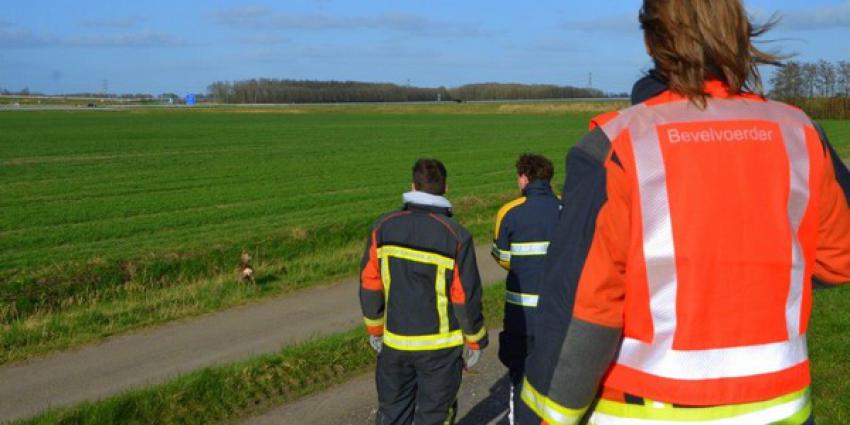 brandweer, redden, jonge ree, winschoterdiep