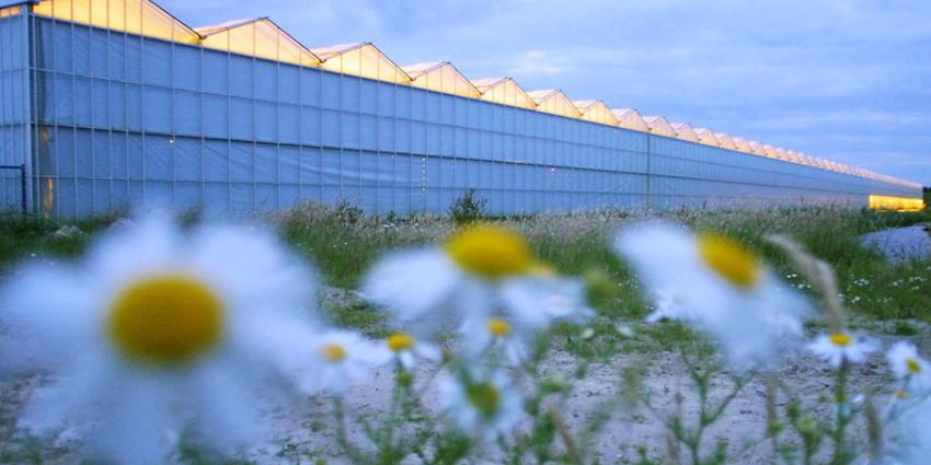 Groei biologische landbouw zet door