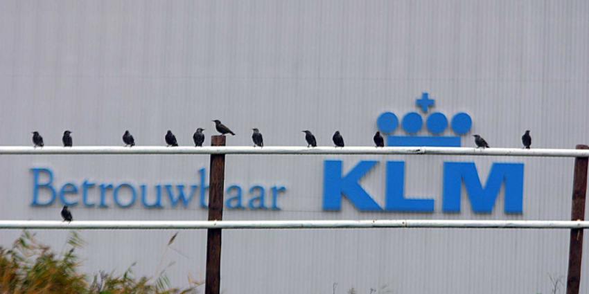 klm-hangar-vogels-betrouwbaar