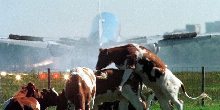 Boeren gaan Schiphol bezetten