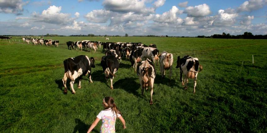 ‘Fosfaatbeleid minister Schouten doodsteek biologische sector’