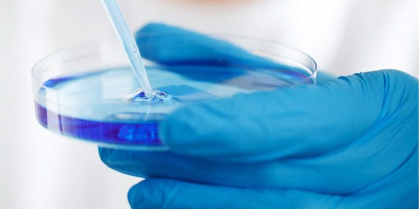 laboratorium-petris-pipet