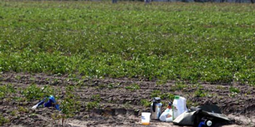 Foto van landbouw arbeiders Polen | Archief EHF