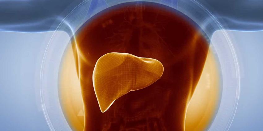 lever-hepatitus