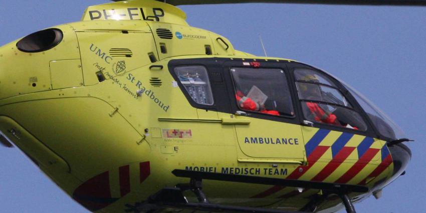 lifeliner-radboud