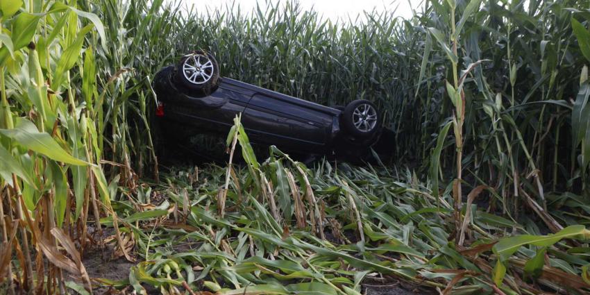 maisveld-auto