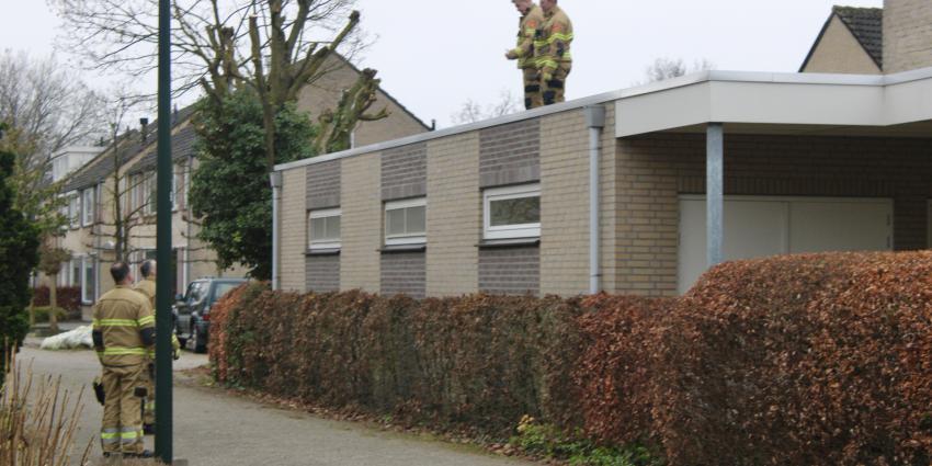 Brandweer heeft muis gered