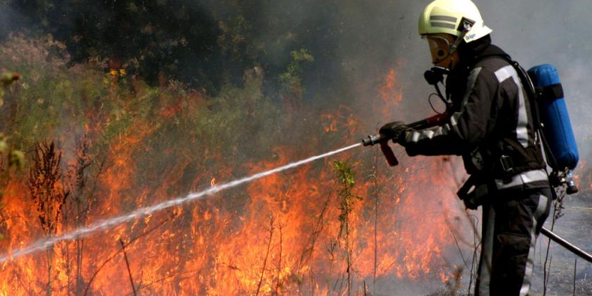 foto van natuurbrand | BON