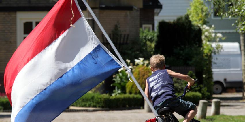 Nederlandse vlag