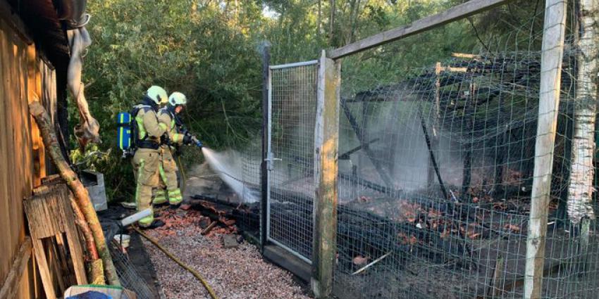 Brandweer blust brand