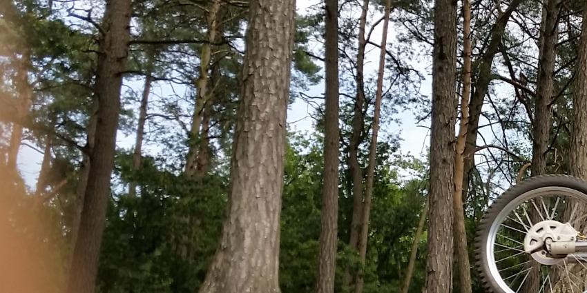 Man aangehouden na vernielen mobiele jagershut