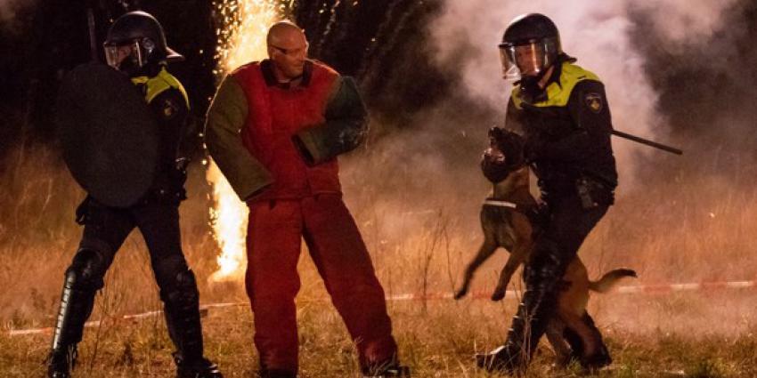 Grote oefening politiehonden met vuurwerk