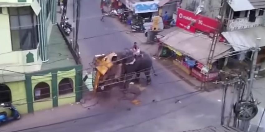 Olifant richt ravage aan op markt in India