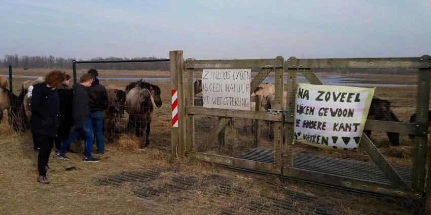 Afdoening strafbare feiten rondom discussie over Oostvaardersplassen