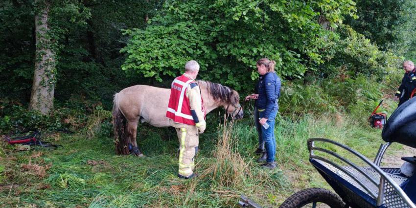 paard-wagen-brandweer