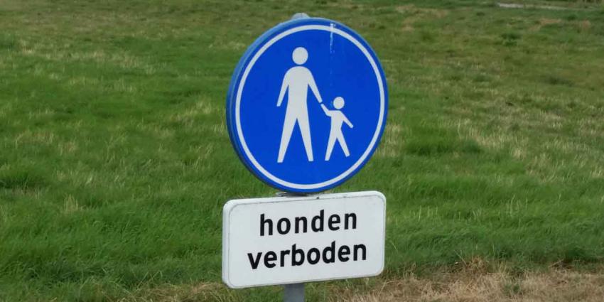 Mannen Veroordeeld Voor Voortzetten Verboden Vereniging Martijn | Blik ...