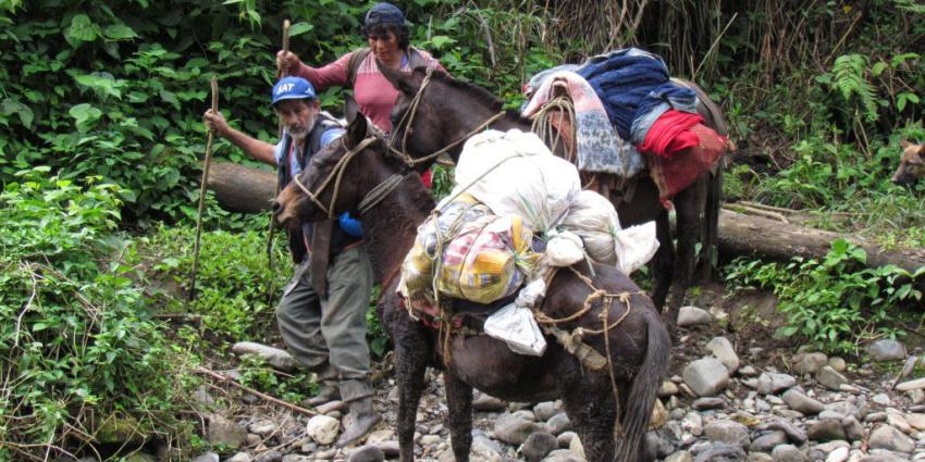 foto van natuurgebied Peru