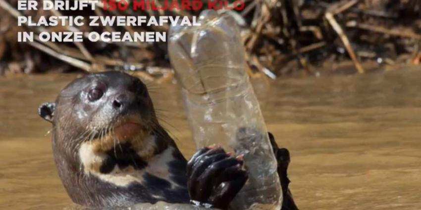 Milieuorganisatie Greenpeace start petitie omdat Coca-Cola de zee flest