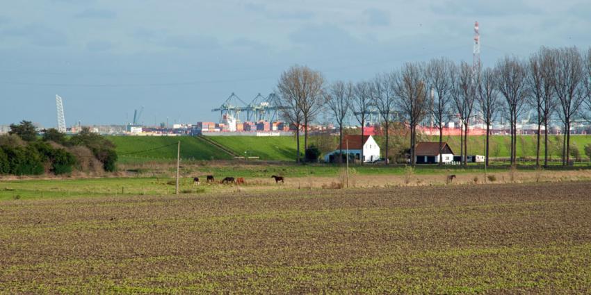Ontpoldering 'Hertogin Hedwigepolder' mag doorgaan