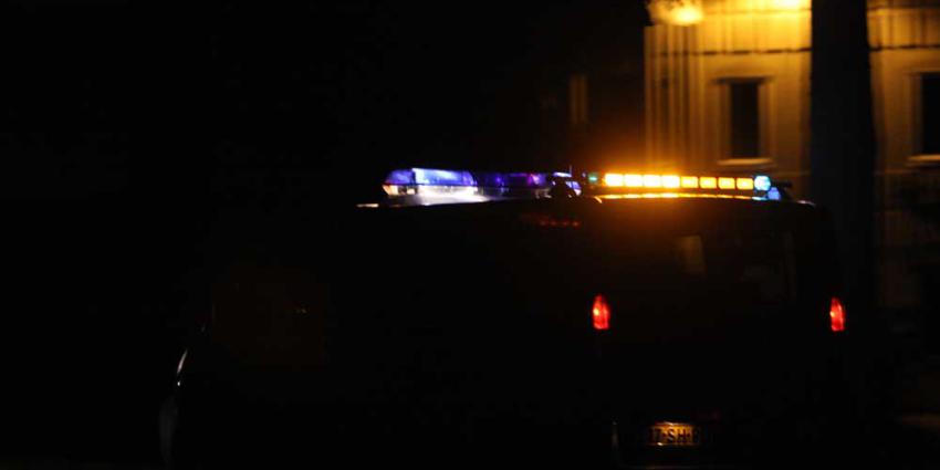 Elf relschoppers opgepakt na enorme vechtpartij in Den Bosch 