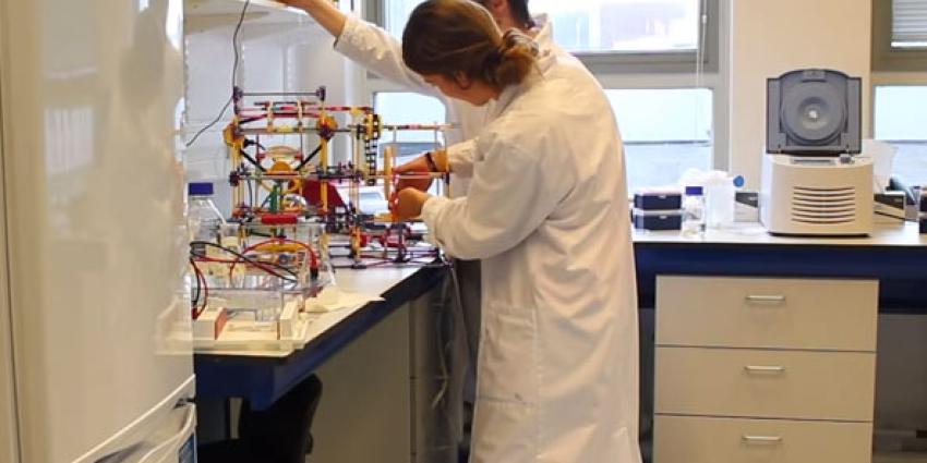 Meer buitenlandse studenten in Nederlandse collegebanken