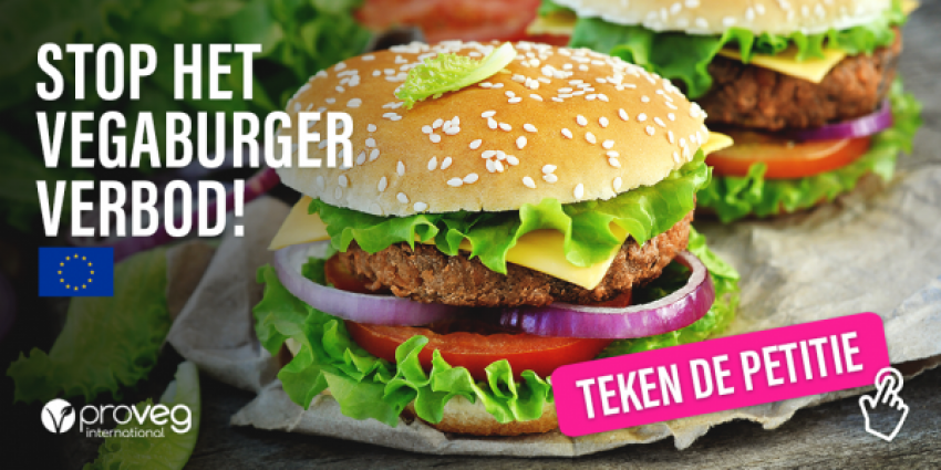 vegaburger, provegvegaburgerban