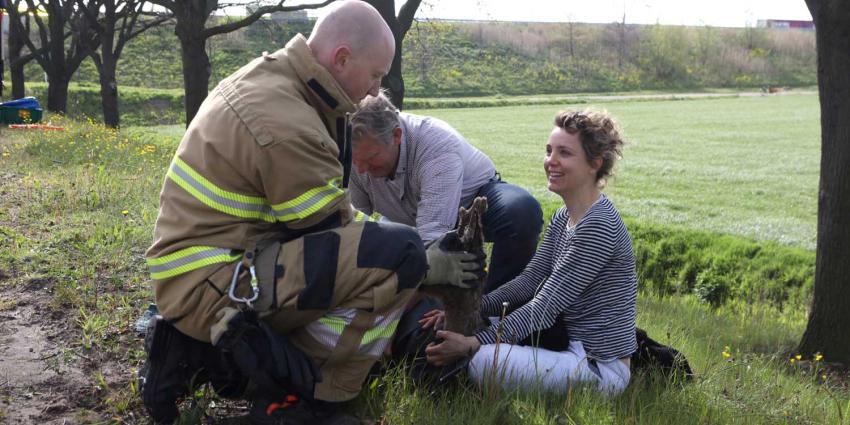 ree-omstander-redding-brandweer