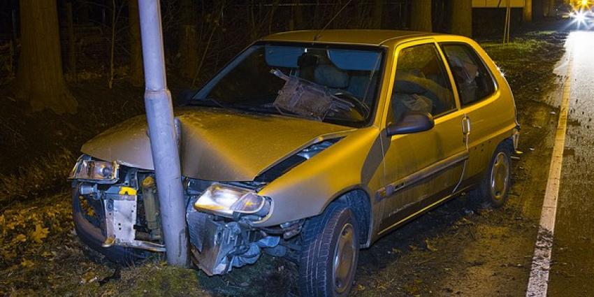 Overstekende ree overleden bij verkeersongeval in Boxtel