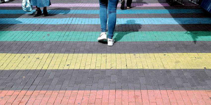 regenboog-gender-zebra