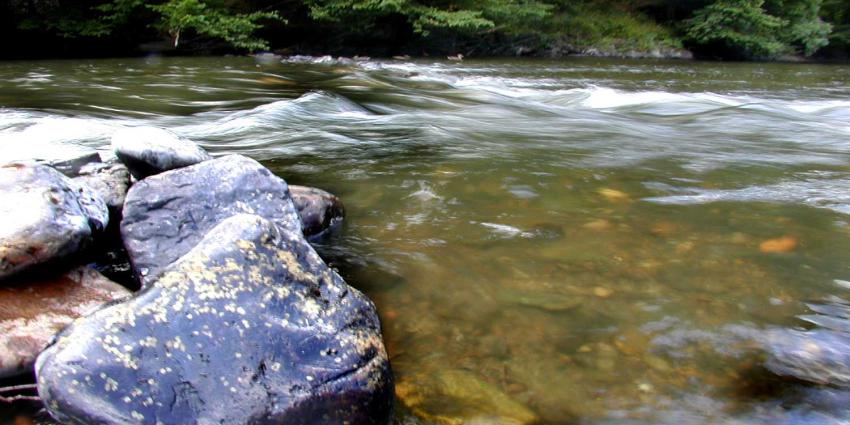 rivier-stroming-zwemmen