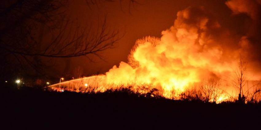Verdachte havenbranden Midden-Limburg opnieuw aangehouden