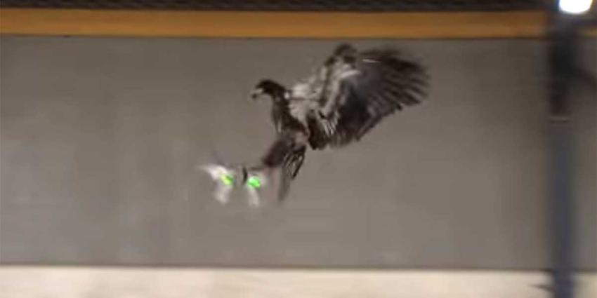 TNO ontwikkeld speciale klauwen voor politie