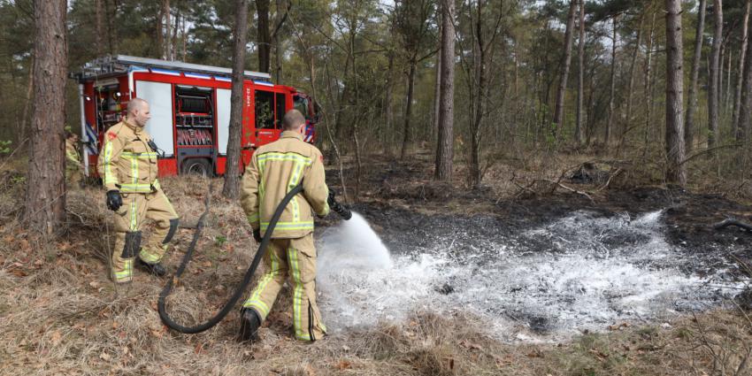 Brandweer dooft brand in bosgebied in Oirschot